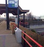 A normal day at a train station in Rotterdam (x-post /r/WTF)