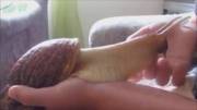 Caressing the shaft.