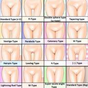 different kinds