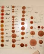 Real dolls nipple chart