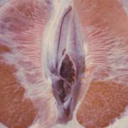 I think this is an orange.
