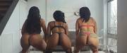 Ass Ass Ass