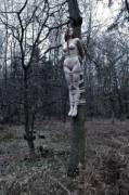 Tied up around the tree