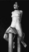 Wooden horse