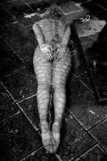 Body Wrapped