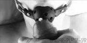 Glazed ballgag