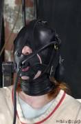 Hooded and gagged [Plug]