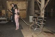 Stimulating your pony during use.