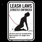 New Leash Law in Effect in Venus