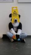 Caution! The floor is dog