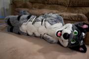 Fursuit bondage