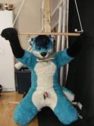 All tied up and no where to go~
