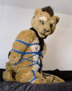 Rope Bondage [M]