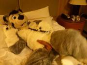 On the bed~