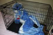 Locked up~