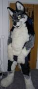 Showing off~