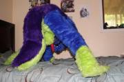 On the bed, ready to go! 