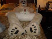 Lovely paws! [m]