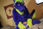 Do you want to play?