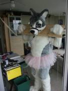 Subservient sissy husky
