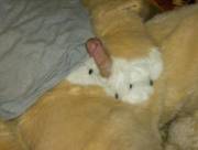 warm paws! [m]