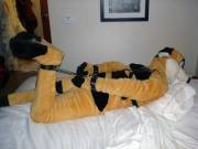 Bound and ready! 
