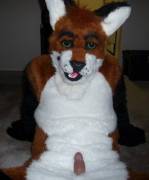 Fox cox [m]