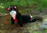 A very muddy Greifer [wam]