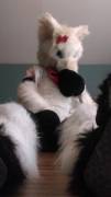 Naughty Dog! [F]