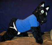 Jock Pup