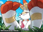 Scorbunny solo [M] (Blitzdrachin)