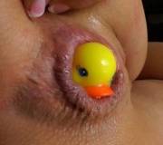 Rubber Duck