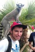 Happy lemur time!