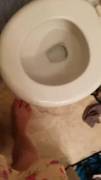 Shaved Girl Peeing on the Toilet