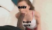 Obey