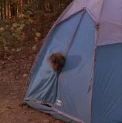 Stacie Lambert - Sleepaway Camp III: Teenage Wasteland (1989)