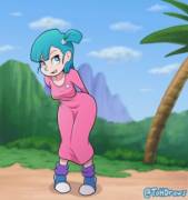 Bulma Flash!!