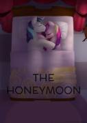 The Honeymoon [F/M, Cadence x Shining Armor, 4 Pages, Artist: oouichi]