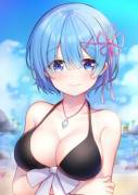 Rem's Swimsuit