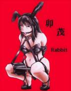 Rabbit