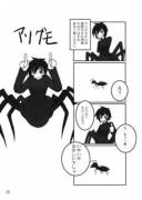 Small Arachne