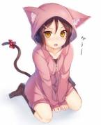 Hoodie-kitty