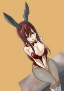 Sexy bunny Erza