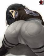 Mikasa's Ass