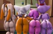 Vanilla. Rouge. Amy &amp; Blaze Showing Their Asses. (jessen) 