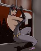 The Cat Burglar [Catwoman]