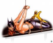 Batgirl Bound