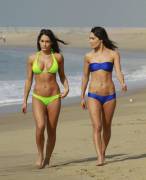 Bella Twins