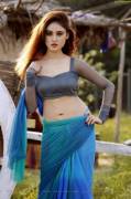 Sony Charishta - Hot Saree