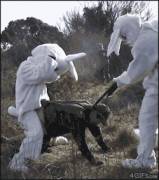 Happy Easter